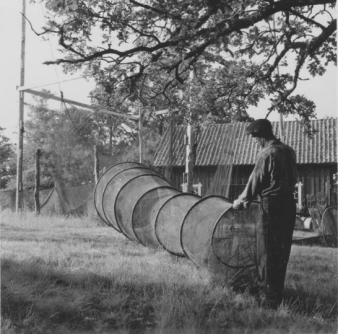 Garnhage ed garnstolpar och bottengarn, Värnanäs 1954